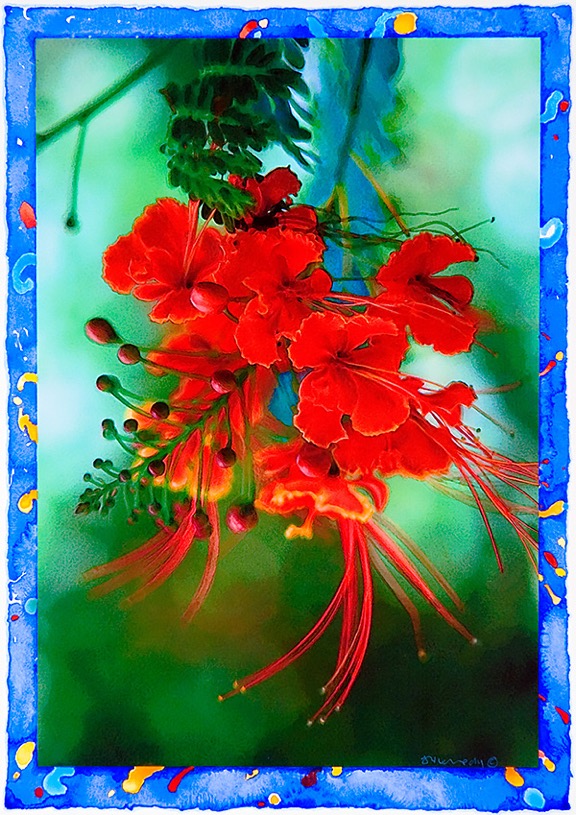 Crimson Flower