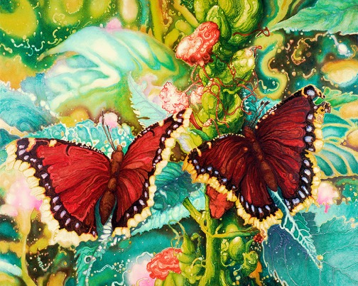 Two Butterflies